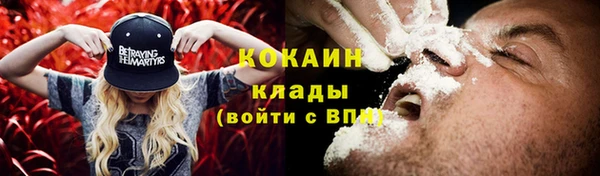 дживик Абаза