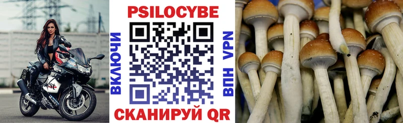 Галлюциногенные грибы мицелий  Тимашёвск 